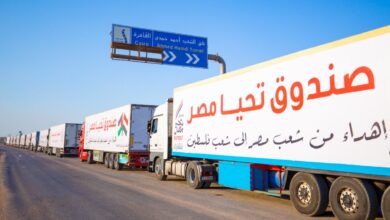 مصر وفلسطين: أكاذيب الإخوان وحقائق التاريخ