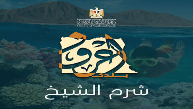 وزارة الشباب والرياضة
