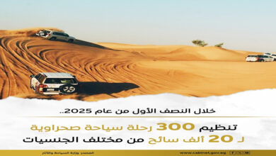 استراتيجية الدولة