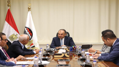 وزير قطاع الأعمال