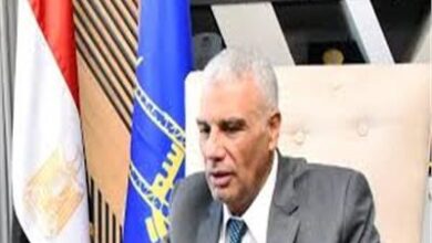 محافظ اسوان