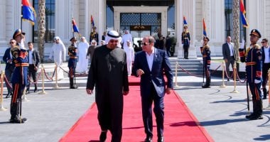 السيسي ومحمد بن زايد يرحبان بمبادرة ترامب لوقف الحرب في غزة 1 44