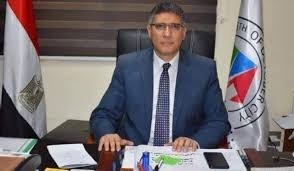 المهندس سعيد النجار محافظ الجيزة